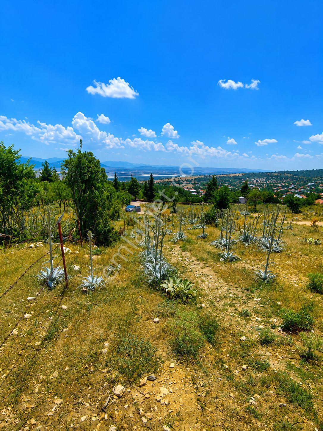 Korkuteli Çomaklı'da 2.314 M² Meyve Ağaçlı Satılık Tarla - Görsel 6