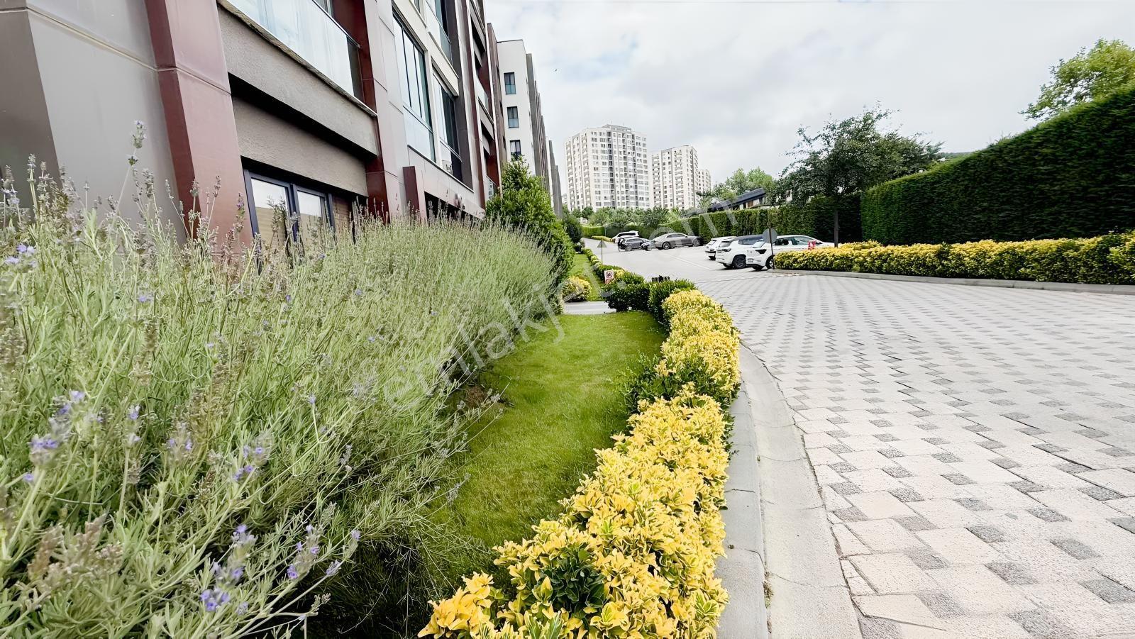 Remax Hedef'ten Vira İstanbul Rezidans'ta Kiralık 1+1 Daire - Görsel 10