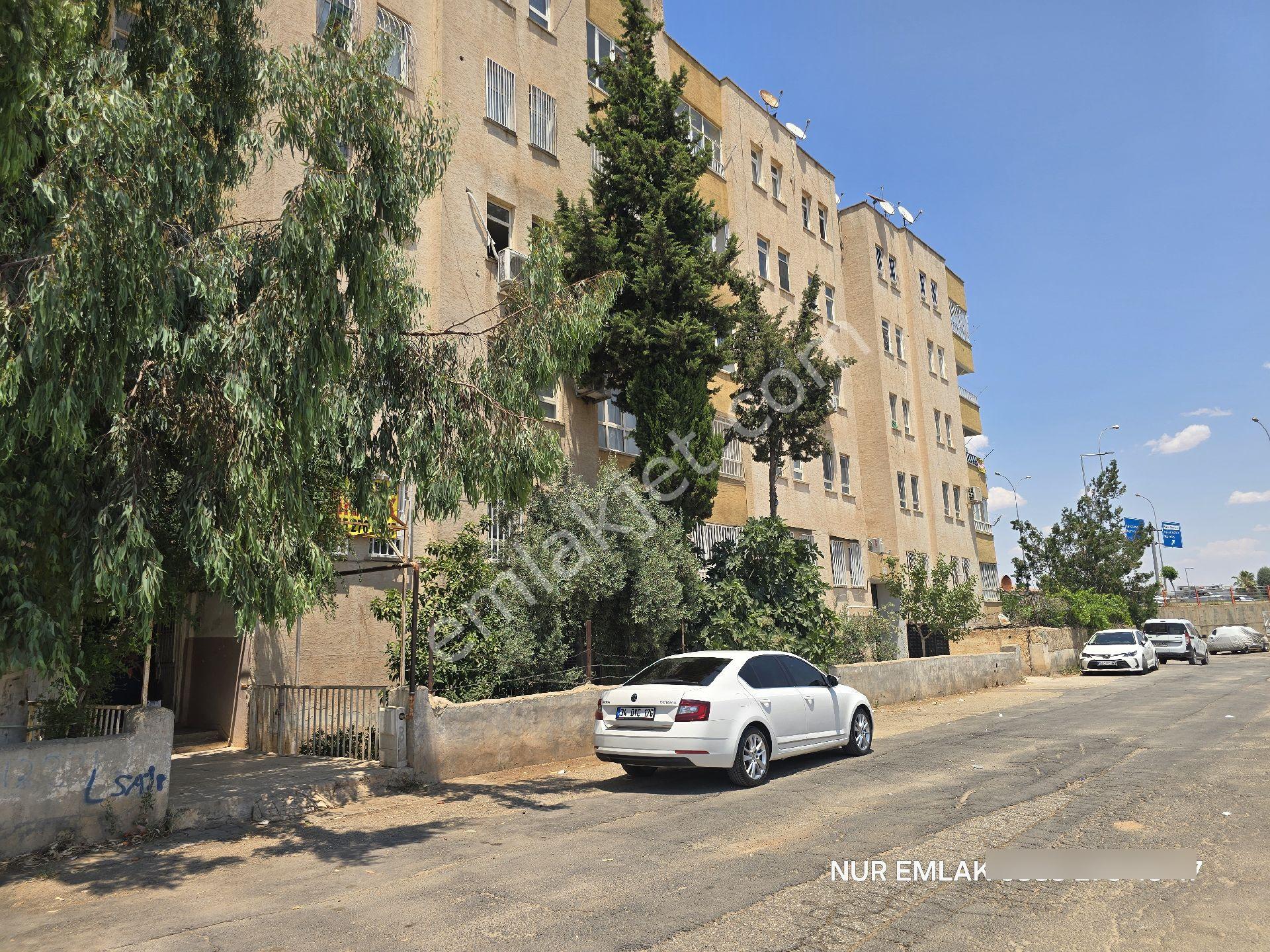 Eski Osm Hastanesi Arkası Gül Muhammed Cami Yanı 3+1 Kiralık Daire