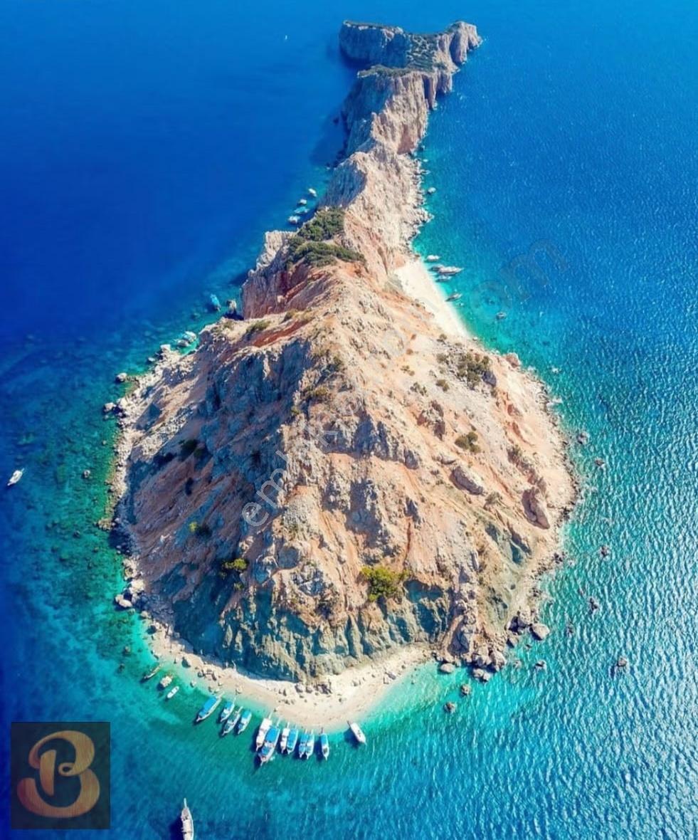 Antalya Kumluca Adrasan Satılık 2183 M2 Meyve Bahçesi.... - Görsel 8