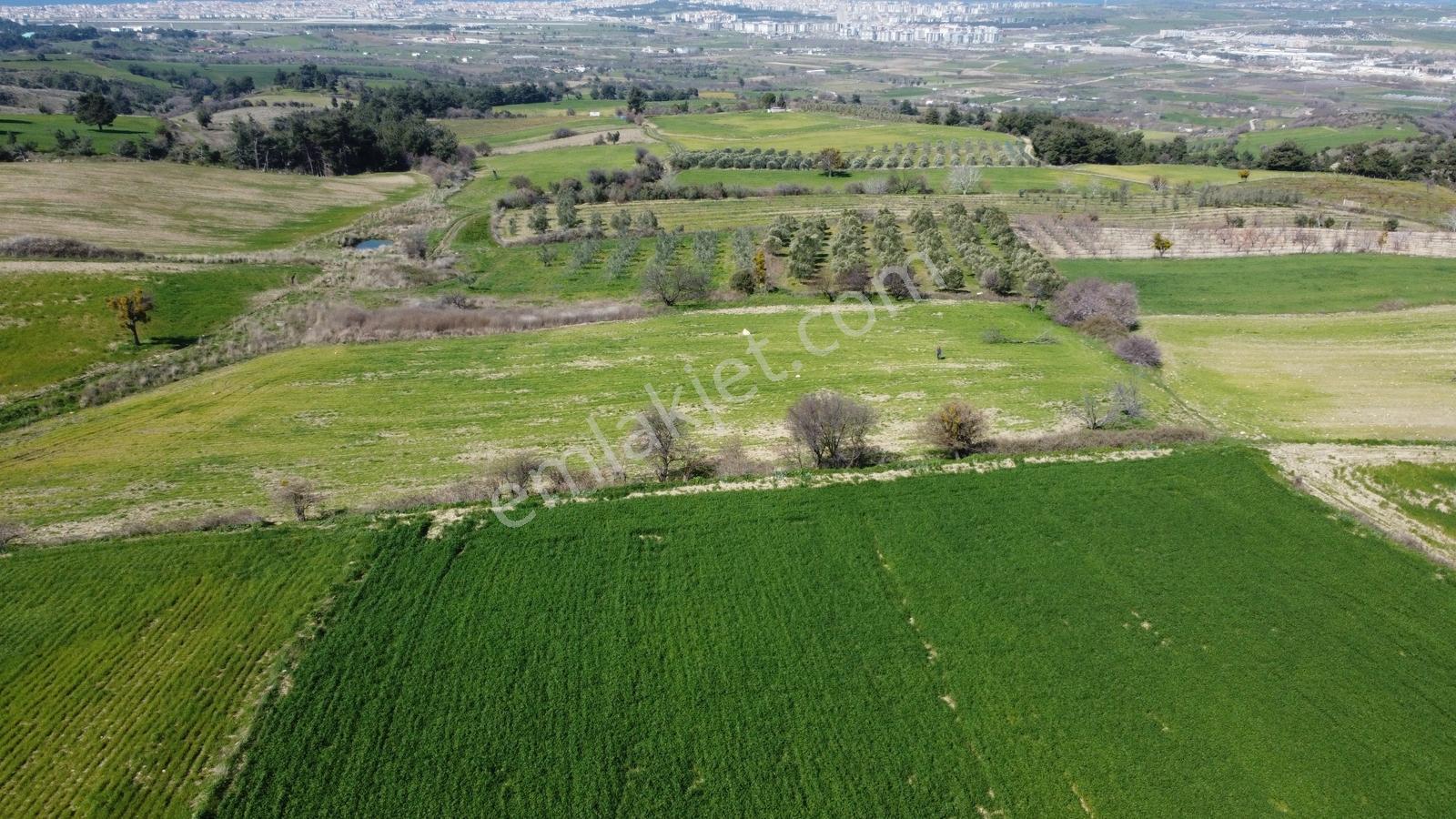 Çanakkale Merkezde Boğaz Manzaralı Yolu Suyu Olan Satılık Arazi - Görsel 28