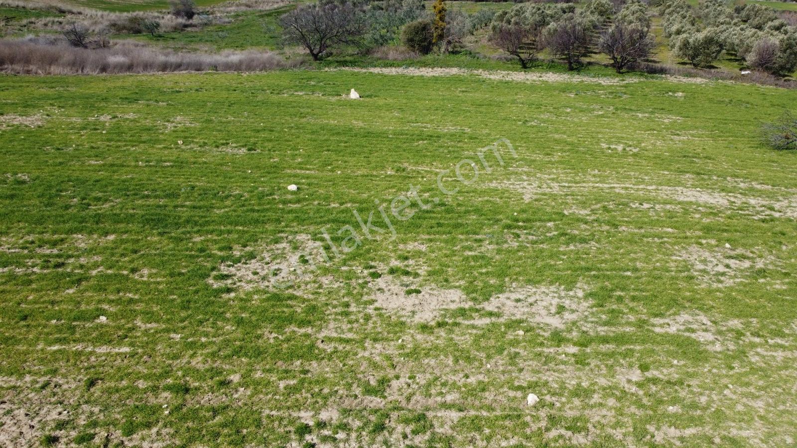 Çanakkale Merkezde Boğaz Manzaralı Yolu Suyu Olan Satılık Arazi - Görsel 4