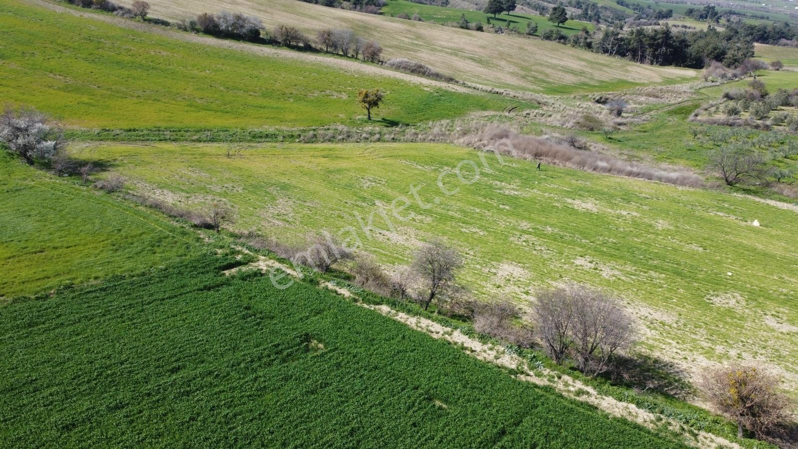 Çanakkale Merkezde Boğaz Manzaralı Yolu Suyu Olan Satılık Arazi - Görsel 6