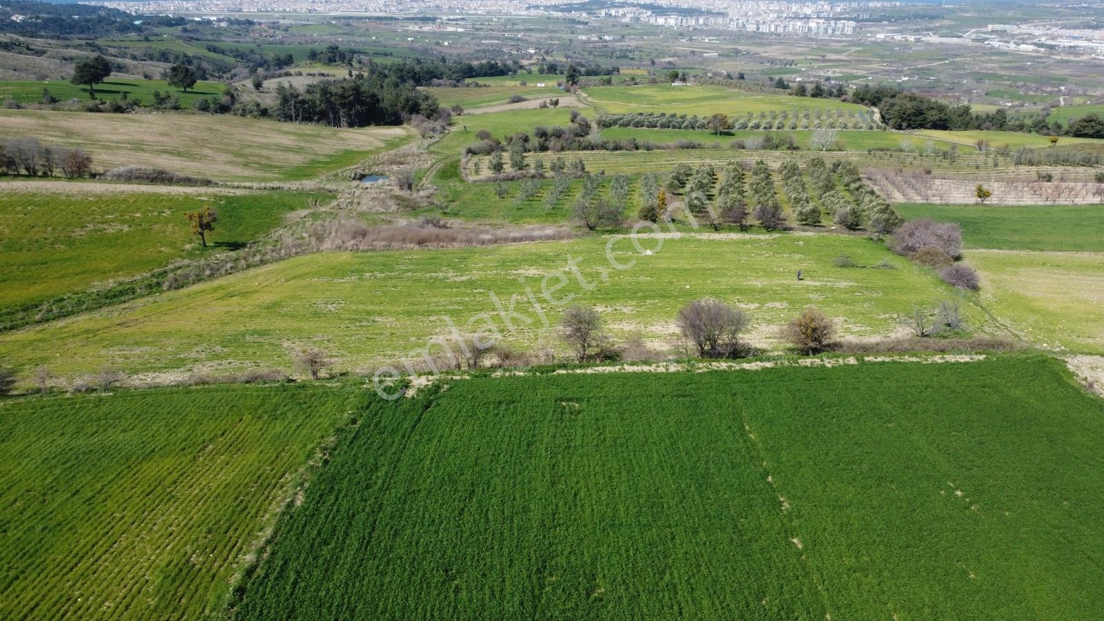 Çanakkale Merkezde Boğaz Manzaralı Yolu Suyu Olan Satılık Arazi - Görsel 29