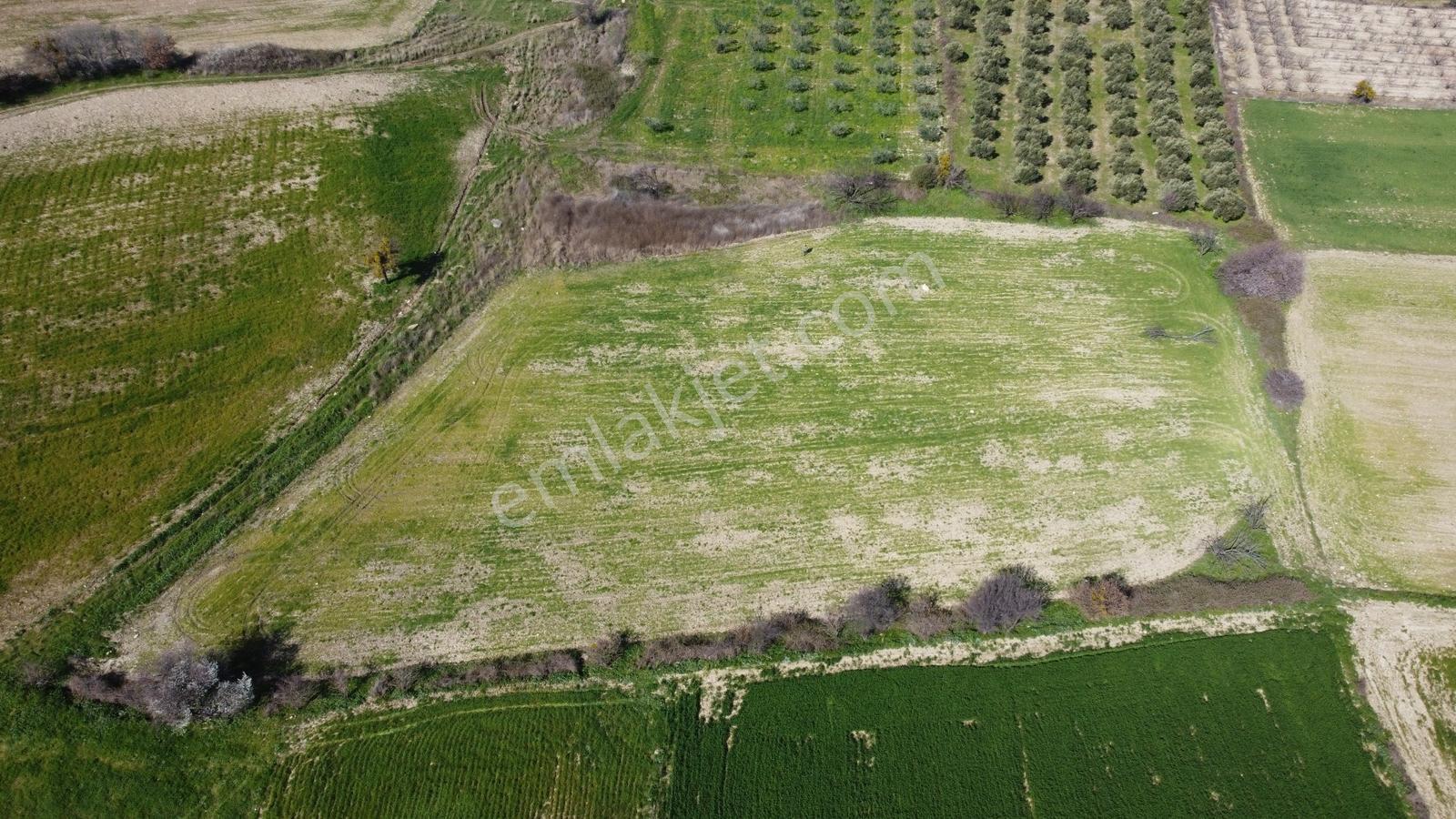 Çanakkale Merkezde Boğaz Manzaralı Yolu Suyu Olan Satılık Arazi - Görsel 14