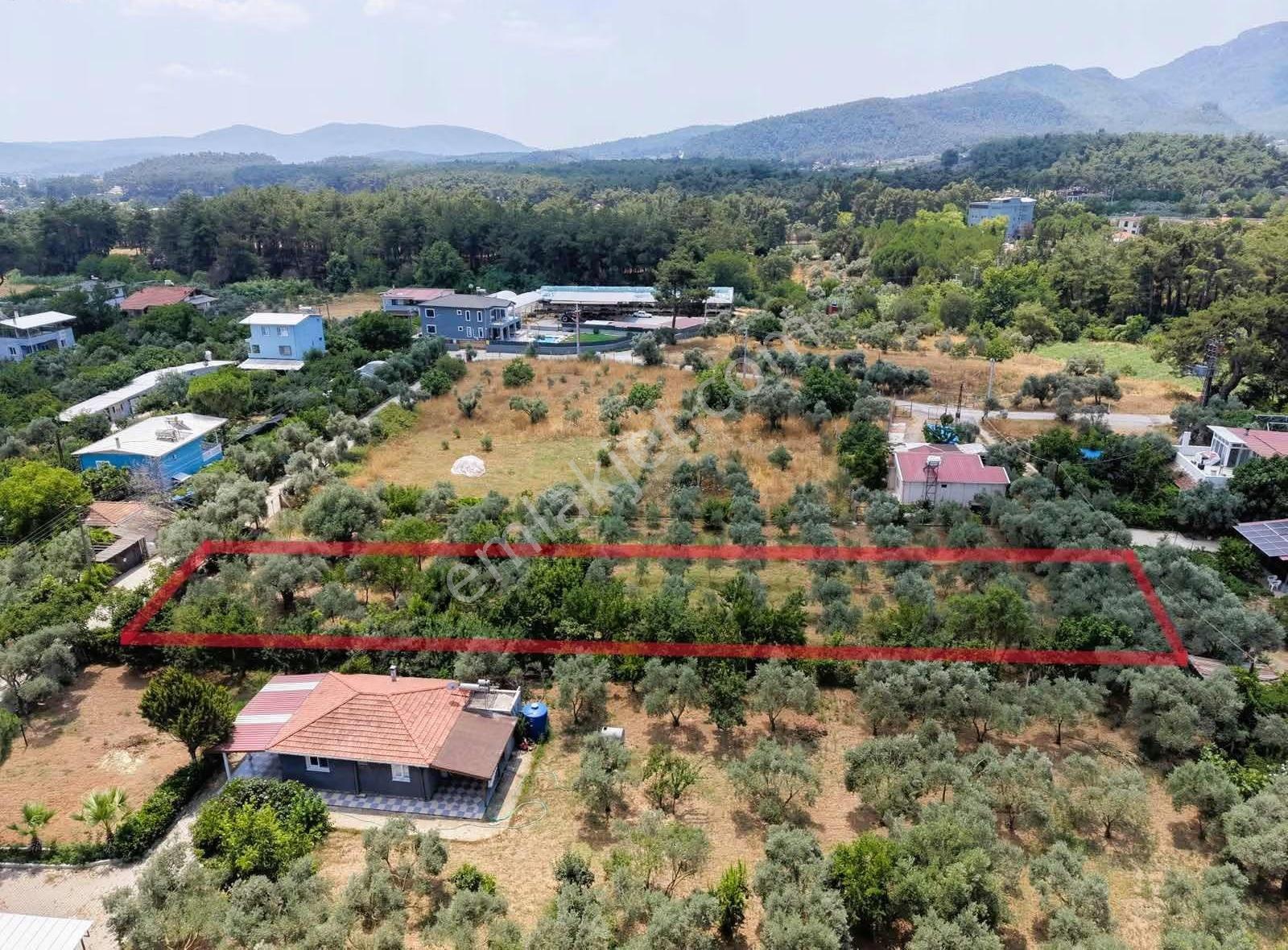 Coşar Emlak Güvencesiyle Ataköy'de Doğa İçinde 991m² - Görsel 5