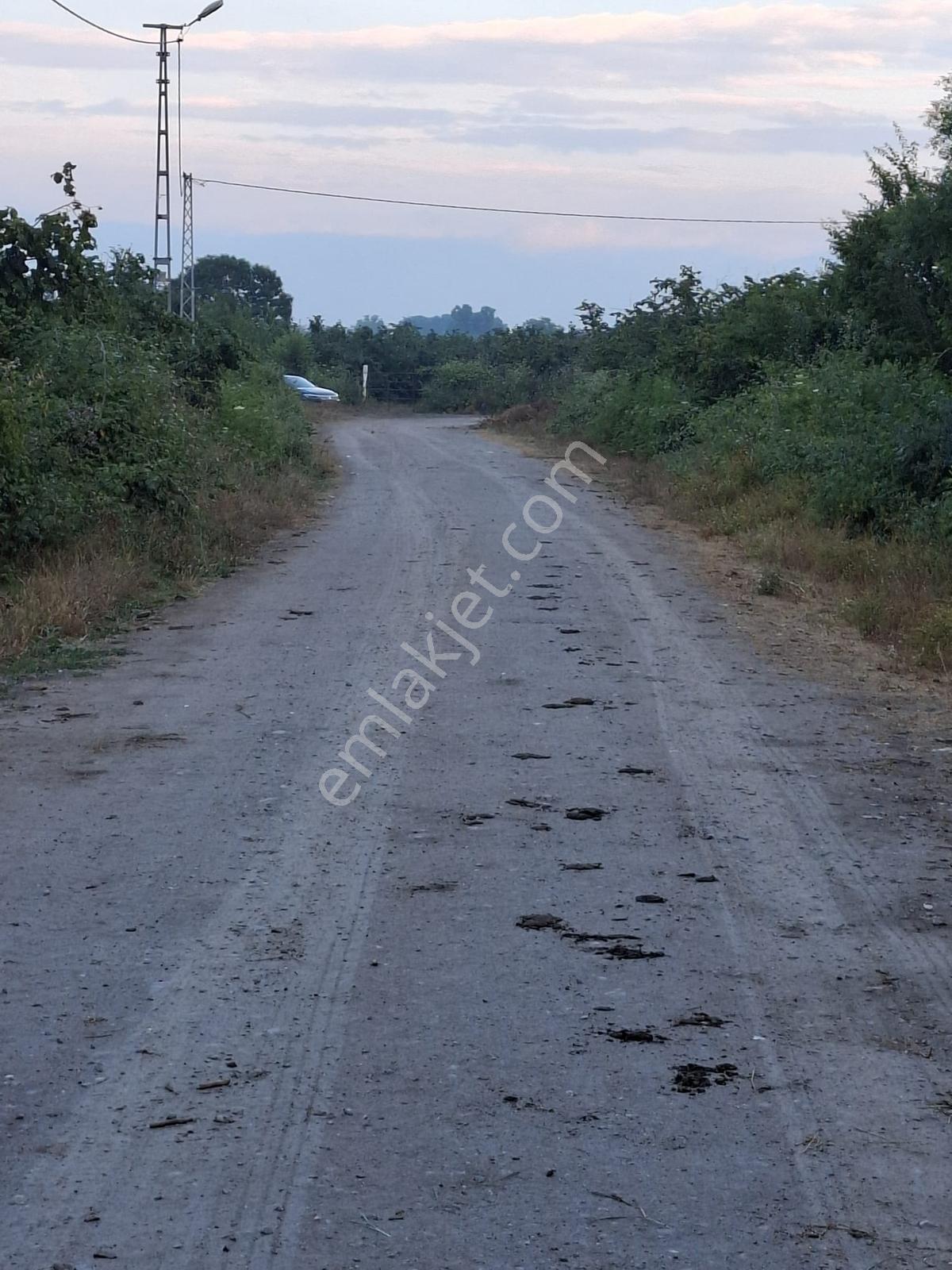 Re/max Ay'dan Karapürçek Yüksel Mah. Satılık Fındıklık - Görsel 17