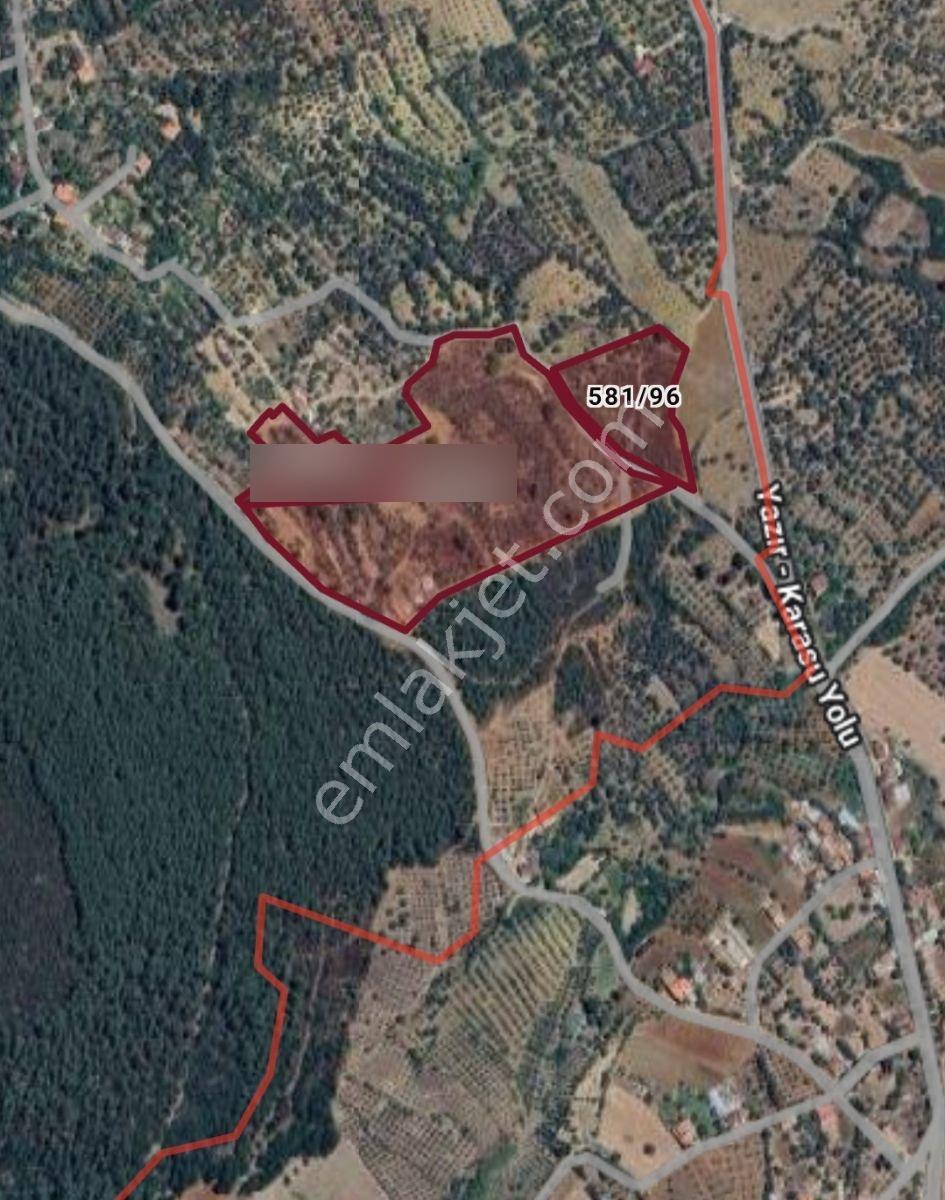 Aydın Karacasu Satılık Zeytinlik, 43.706m2, 3 Bitişik Parsel