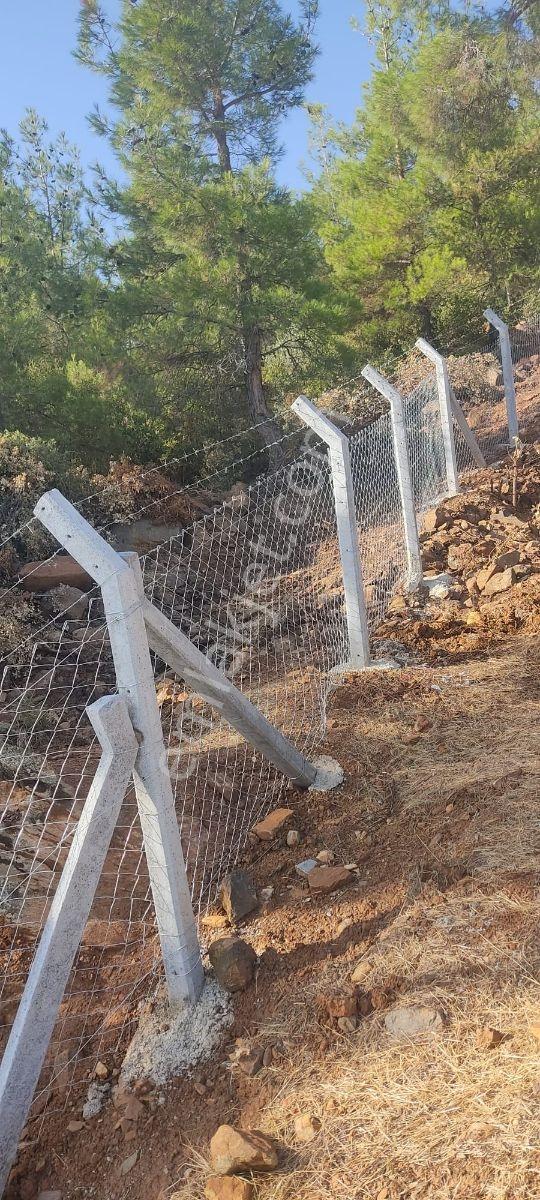 Aydın Karacasu Satılık Zeytinlik, 43.706m2, 3 Bitişik Parsel - Görsel 10
