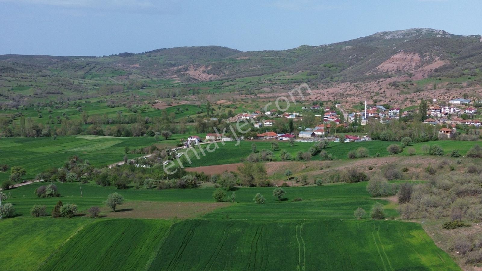 Artova / Devecikarkın Mahallesinde 500 M² Müstakil Tapulu