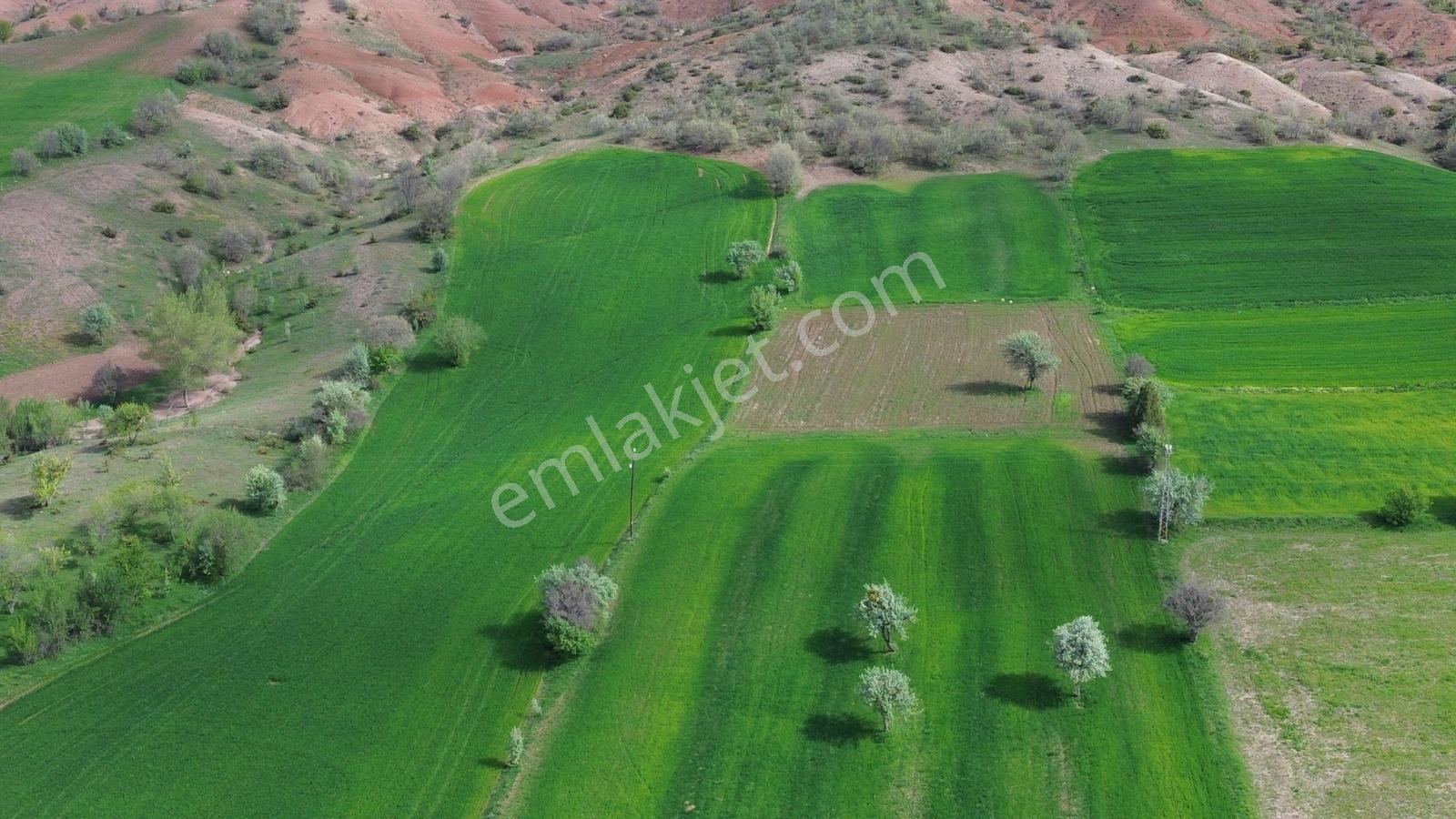 Artova / Devecikarkın Mahallesinde 500 M² Müstakil Tapulu - Görsel 12