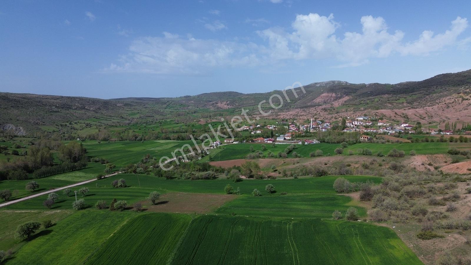 Artova / Devecikarkın Mahallesinde 500 M² Müstakil Tapulu - Görsel 14