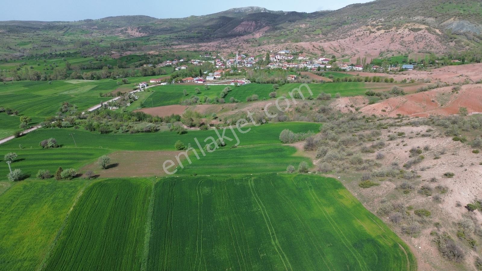Artova / Devecikarkın Mahallesinde 500 M² Müstakil Tapulu - Görsel 21