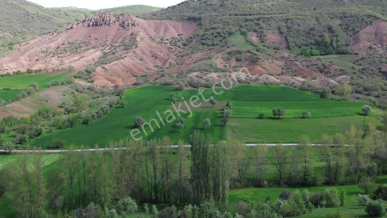 Artova / Devecikarkın Mahallesinde 500 M² Müstakil Tapulu - Görsel 7