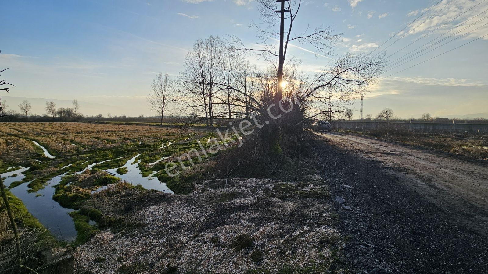 Düzce Konuralp Yolu Suyu Elektriği Olan Fırsat 6284 M2 Tarla - Görsel 9