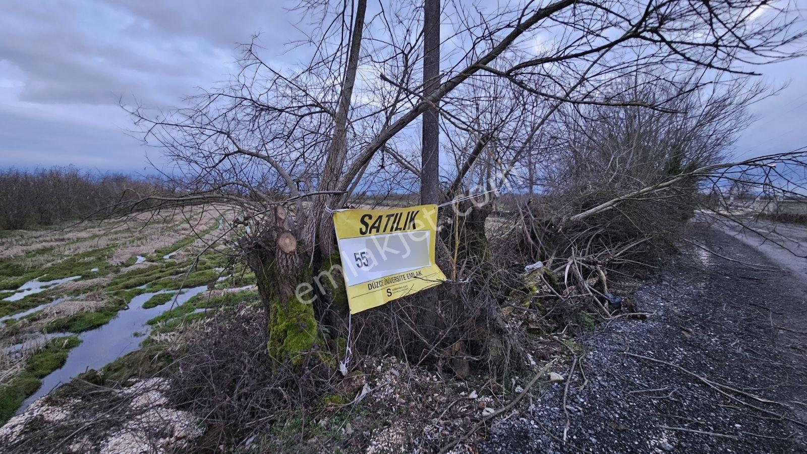 Düzce Konuralp Yolu Suyu Elektriği Olan Fırsat 6284 M2 Tarla - Görsel 24