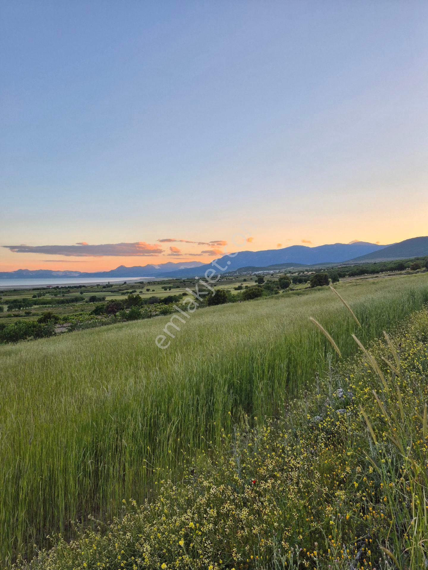 Lavanta Diyarında Göl Manzaralı 5600 M2 Arazi - Görsel 5