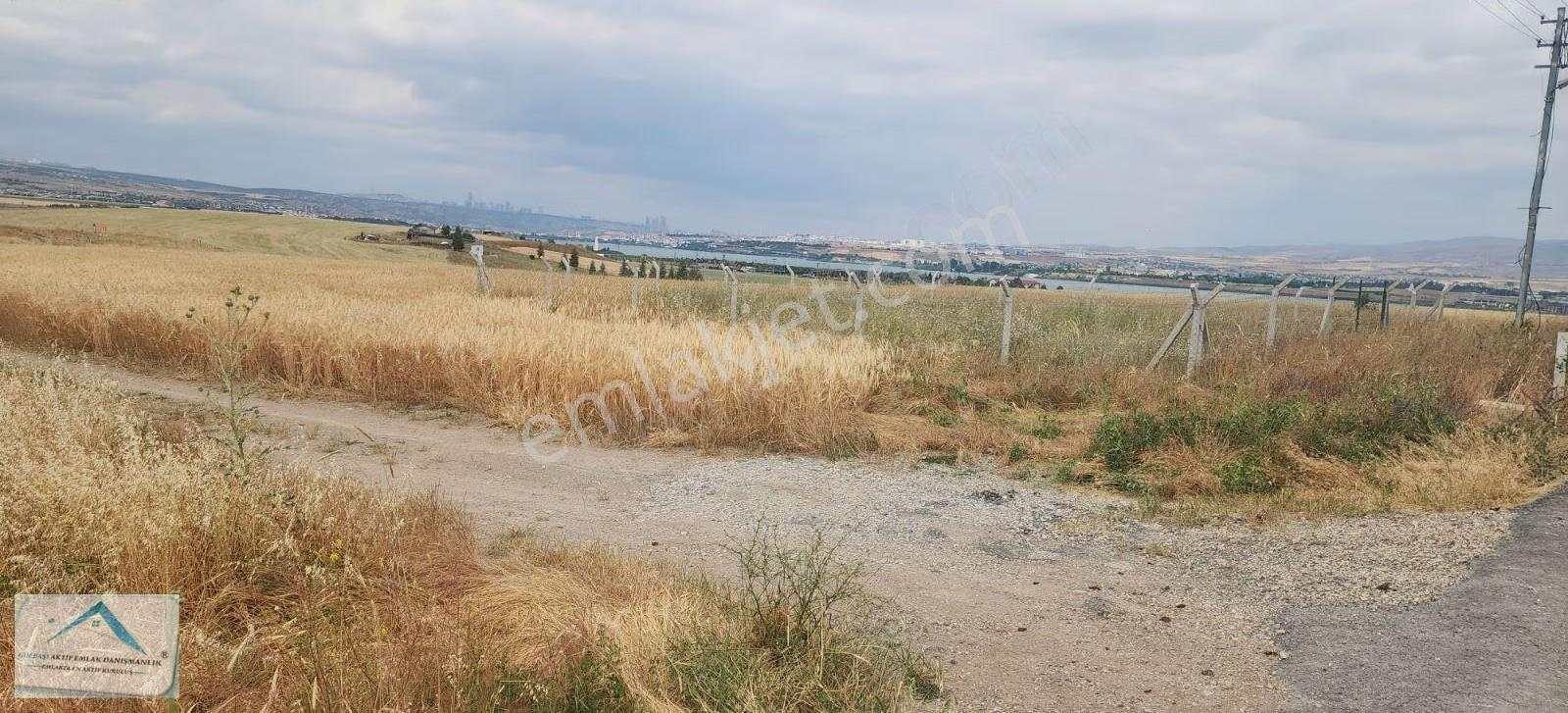 Karşıyaka Mah Polis Lokalin Yanı 250m2 İmarlı Hisse - Görsel 10
