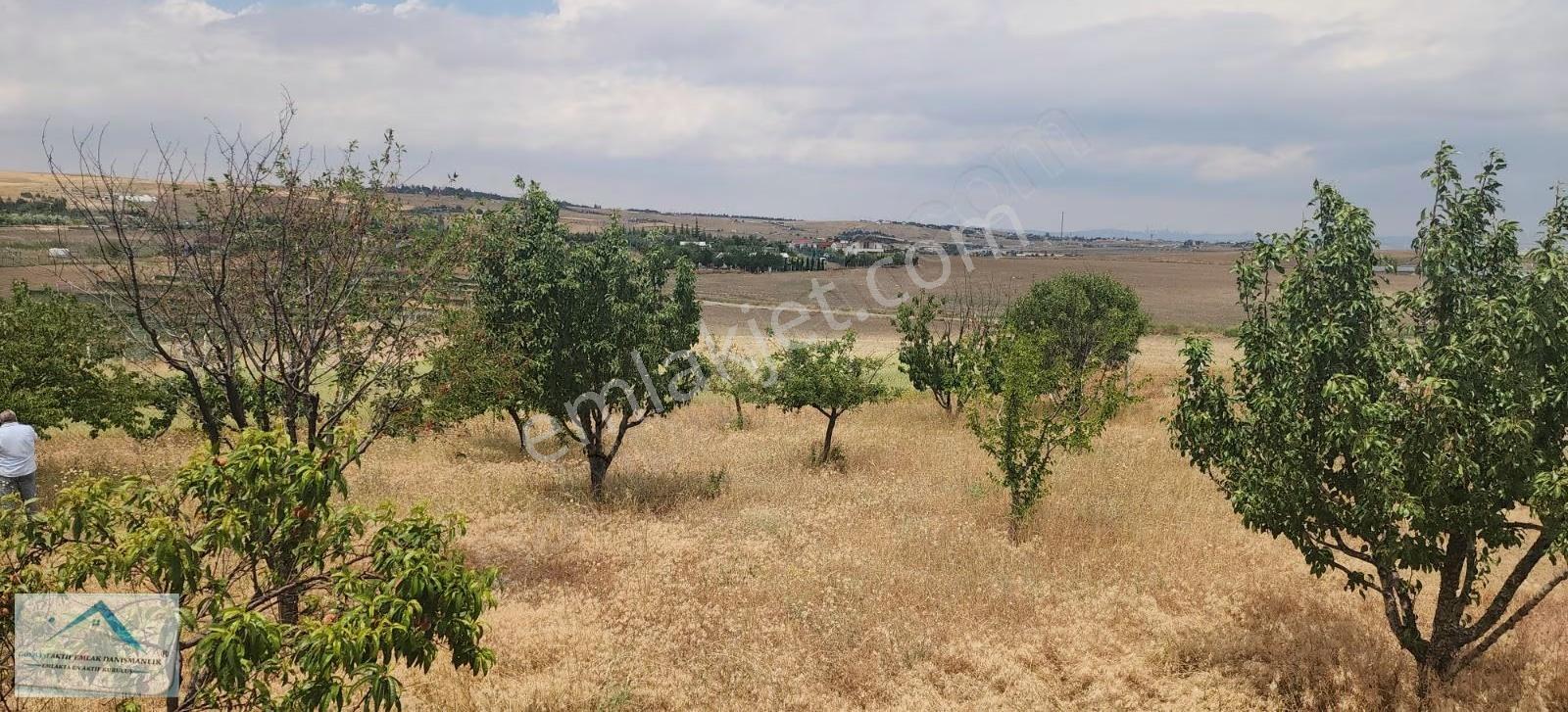 Gökcehöyük Mah 1000m2 Arsası 60m2 Yapı Kayıtlı Bahçe - Görsel 2