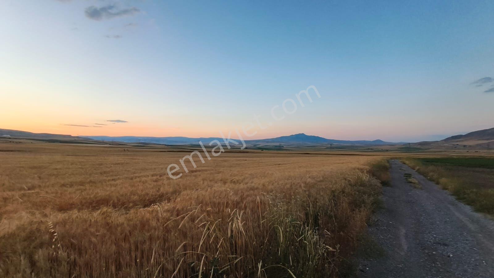 Sincan Temelli Bacı Mahallesinde 475 M2 Satılık Yatırımlı Uygun Fiyat Tarla - Görsel 5