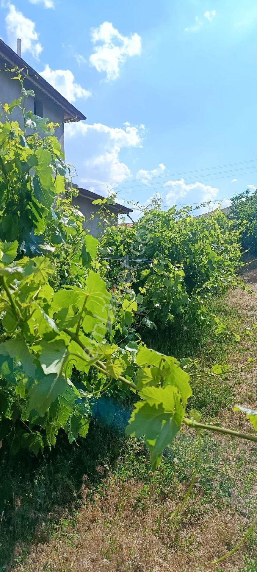 Tatköyde Satılık 1500 M2 Konut Arsası - Görsel 7
