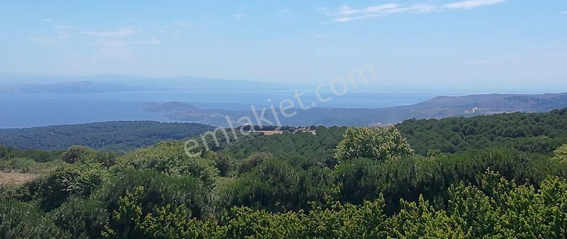 Erdek Yukarıyapıcı'da 1828 M² Deniz Manzaralı Satılık Tarla - Görsel 12