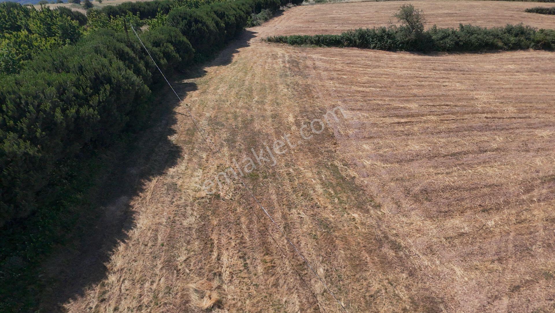 Erdek Yukarıyapıcı'da 1828 M² Deniz Manzaralı Satılık Tarla - Görsel 24