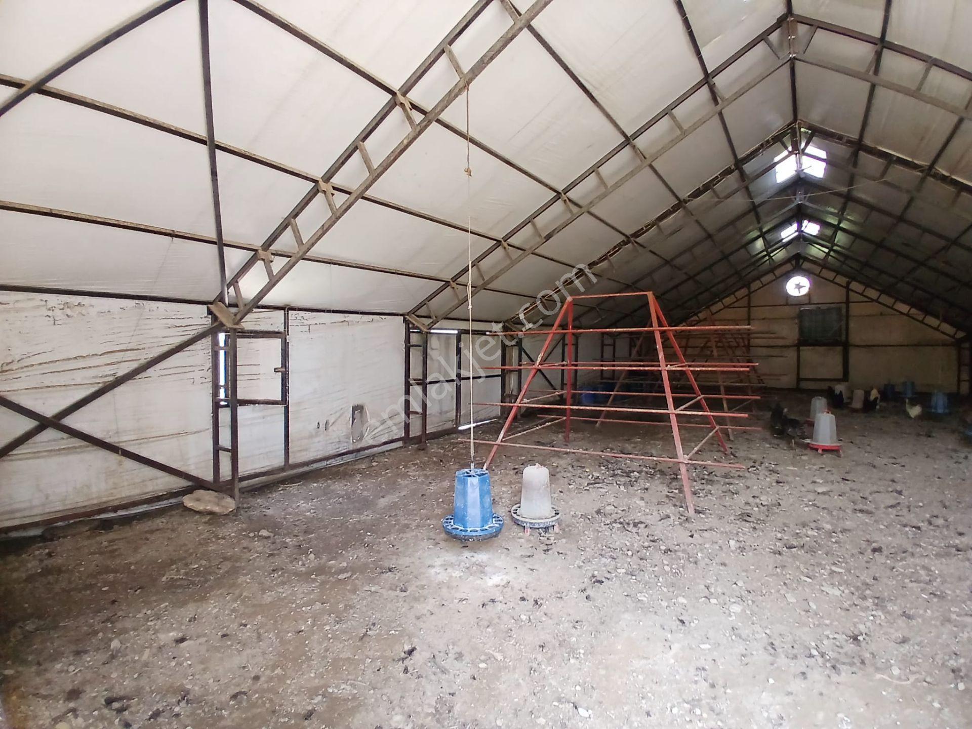 Akçay Emlak'tan Akşehir Yarenler (beşkavak) Mahallesinde Satılık Bahçe Ve Hazır Çiftlik - Görsel 29