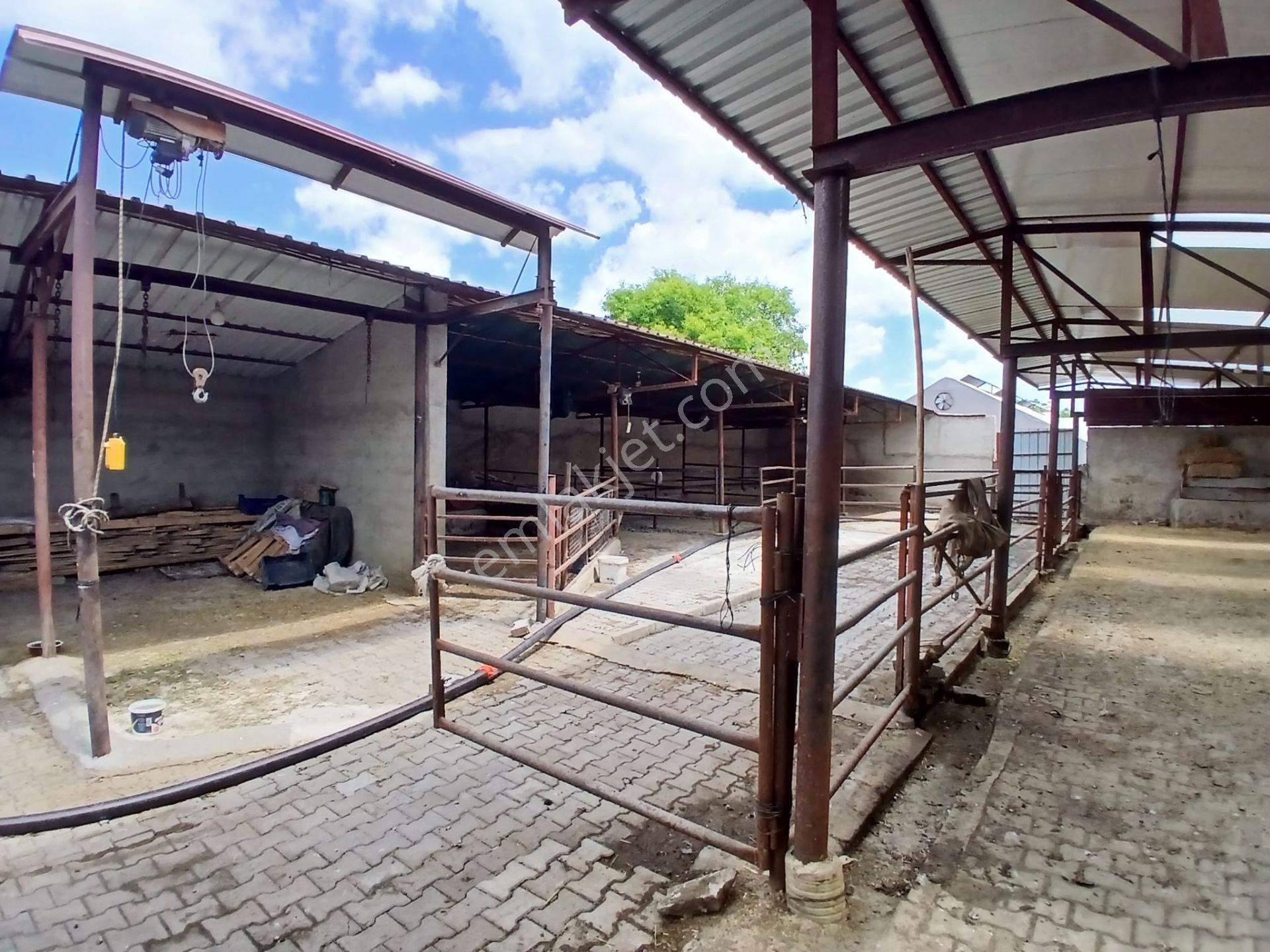 Akçay Emlak'tan Akşehir Yarenler (beşkavak) Mahallesinde Satılık Bahçe Ve Hazır Çiftlik - Görsel 25