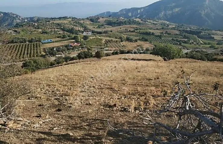 Manisa Salihli Karaağaç Köyünde 7618 M2 Satılık Arazi - Görsel 3