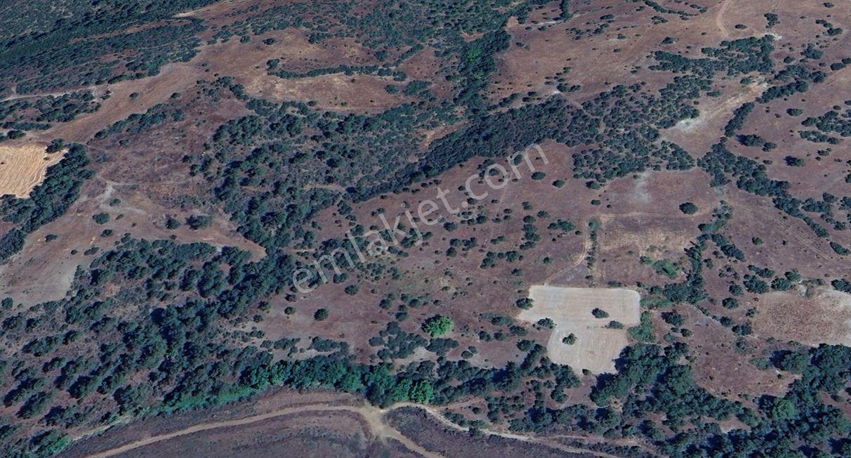 Büyükorhan Demirler Köyünde 5110 M2 Yatırımlık Tarla