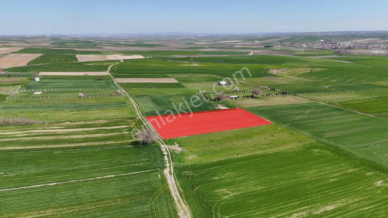 Tekirdağ Kapaklı Uzunhacılar'da Yatırımlık Tek Tapu Arazi - Görsel 6