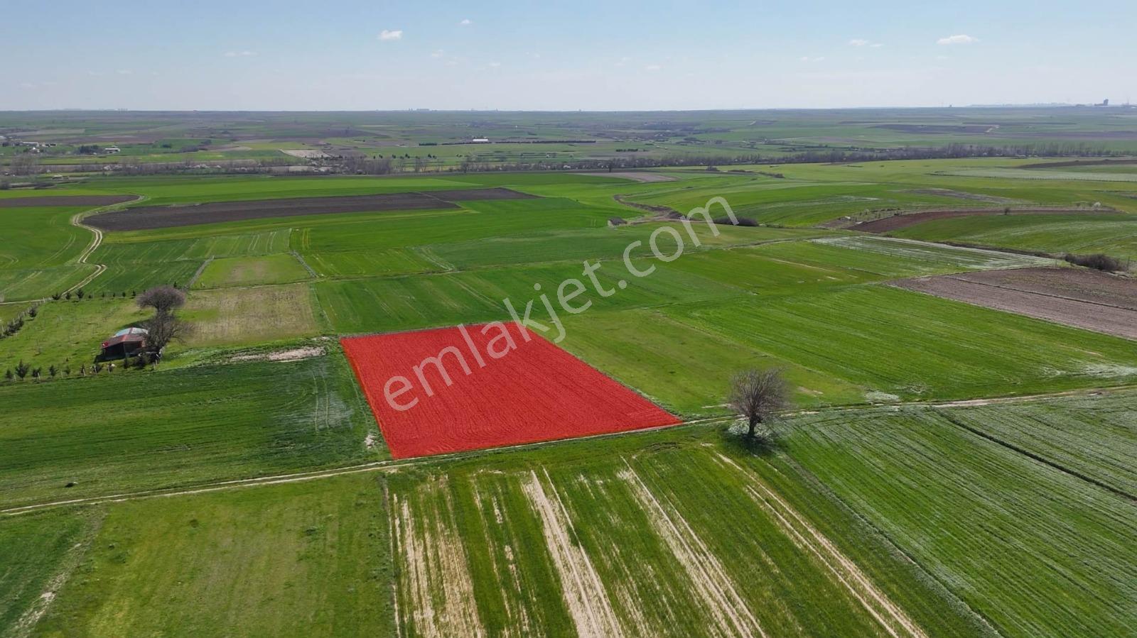 Tekirdağ Kapaklı Uzunhacılar'da Yatırımlık Tek Tapu Arazi - Görsel 18