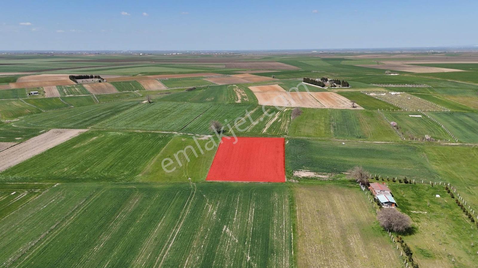 Tekirdağ Kapaklı Uzunhacılar'da Yatırımlık Tek Tapu Arazi - Görsel 14