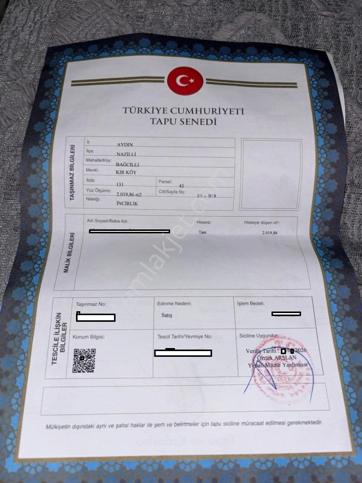 Bağcıllı Satılık Zeytinlik