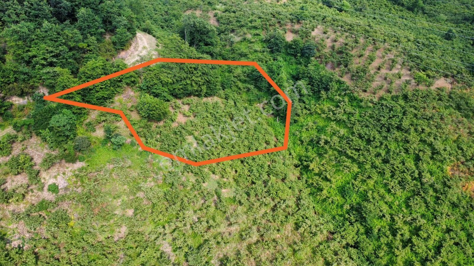 Trabzon Arsin Yeşilyalı'da Satılık Arazi - Görsel 10