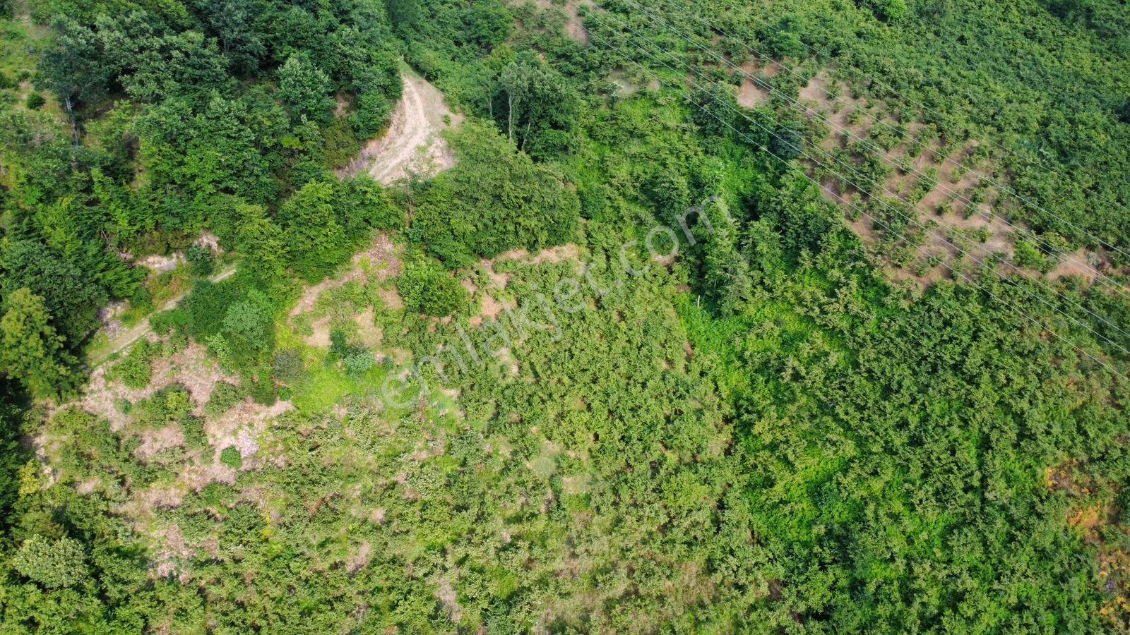 Trabzon Arsin Yeşilyalı'da Satılık Arazi - Görsel 29