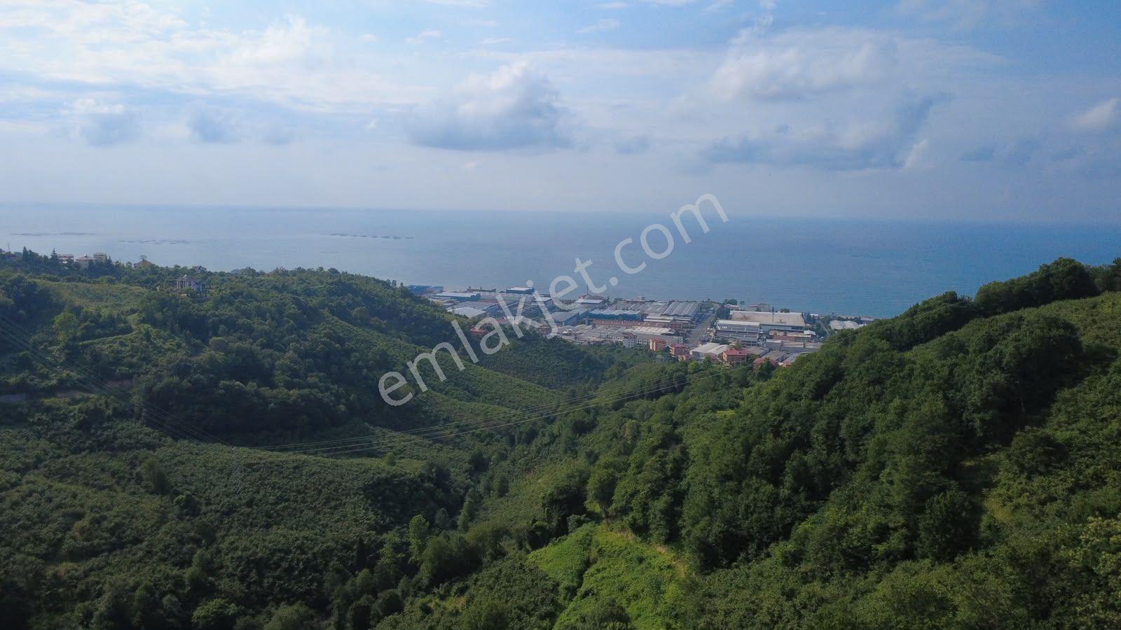 Trabzon Arsin Yeşilyalı'da Satılık Arazi - Görsel 2
