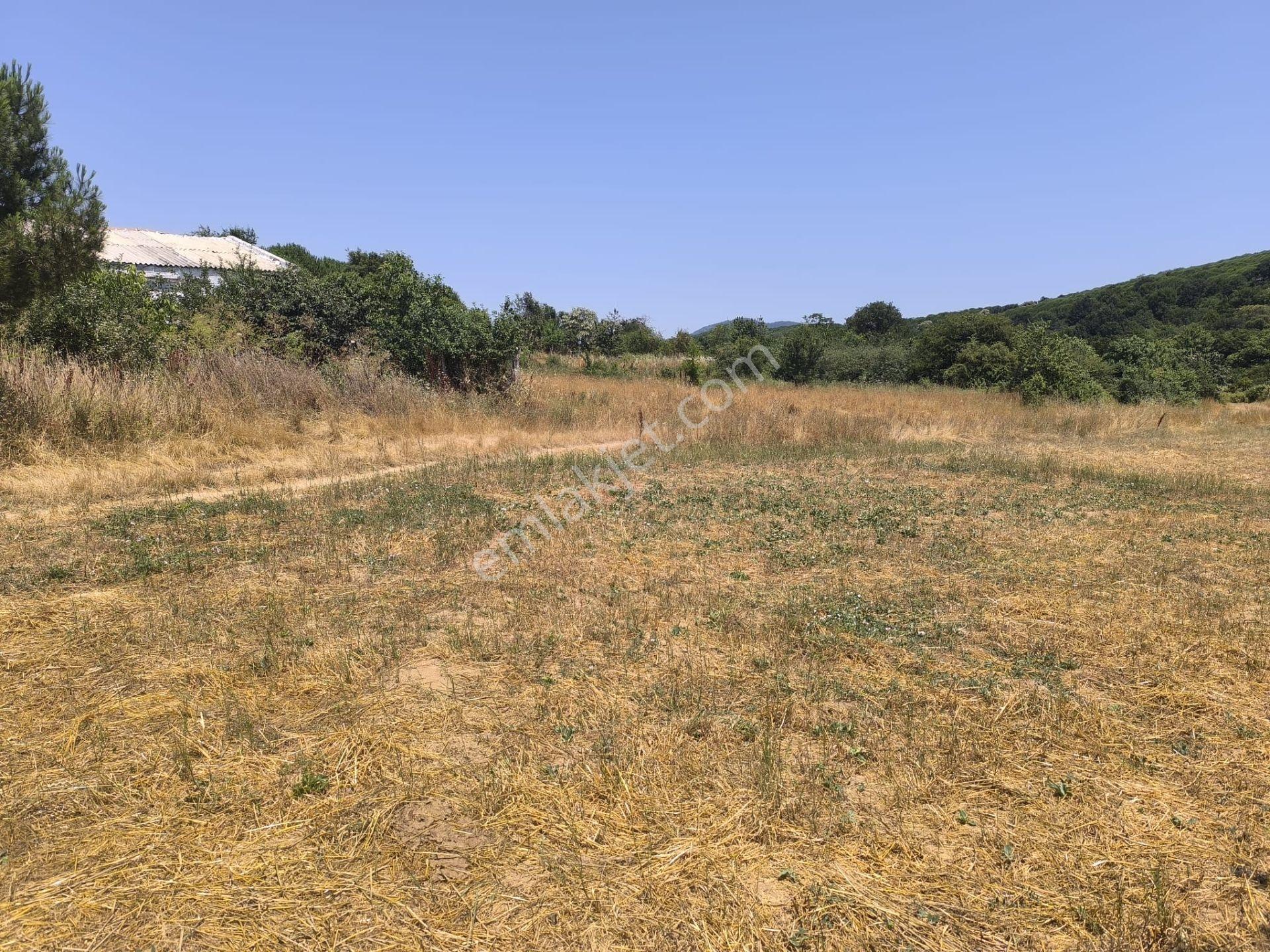 Balıkesir Erdek Yukarıyapıcı'da Satılık 2625 M² Doğa Manzaralı Tarla - Görsel 17
