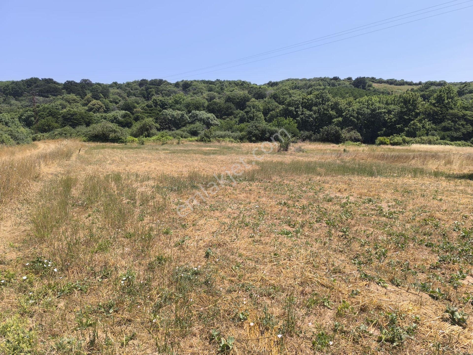 Balıkesir Erdek Yukarıyapıcı'da Satılık 2625 M² Doğa Manzaralı Tarla - Görsel 15