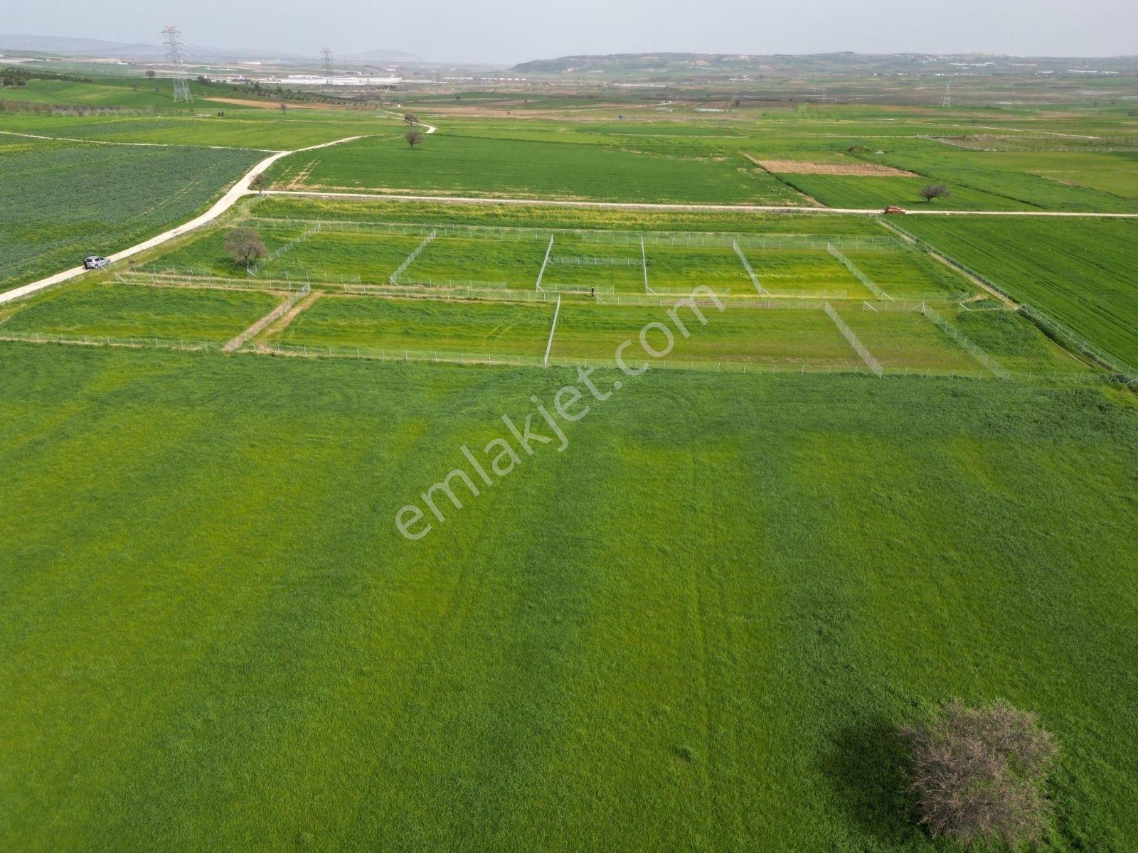 Balıkesir Bandırma Yenisığırcı'da Göl Manzaralı Arazi