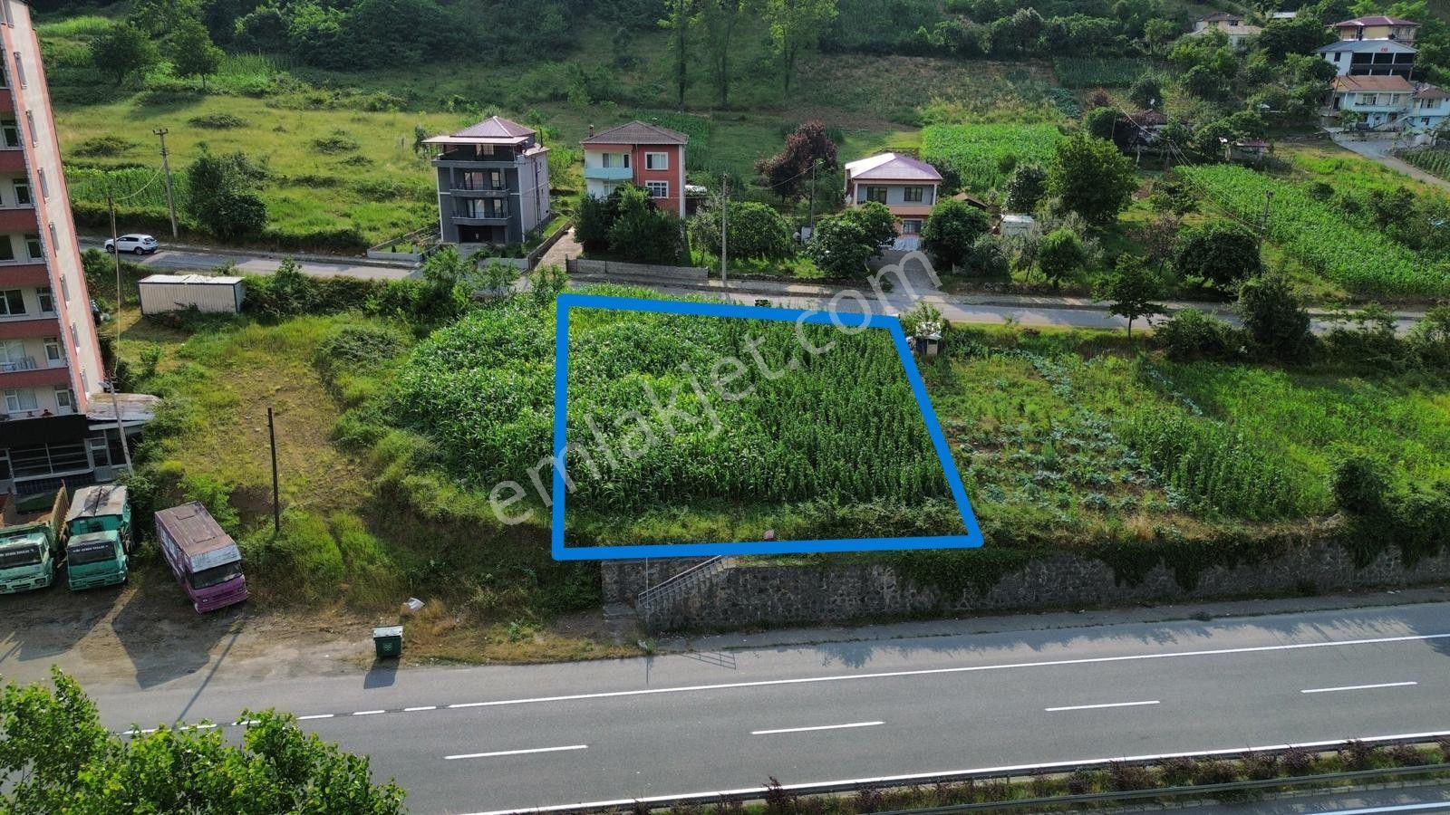 Trabzon Maçka Öğütlü'de Gümüşhane Yolu Üzerinde Satılık Arsa - Görsel 12