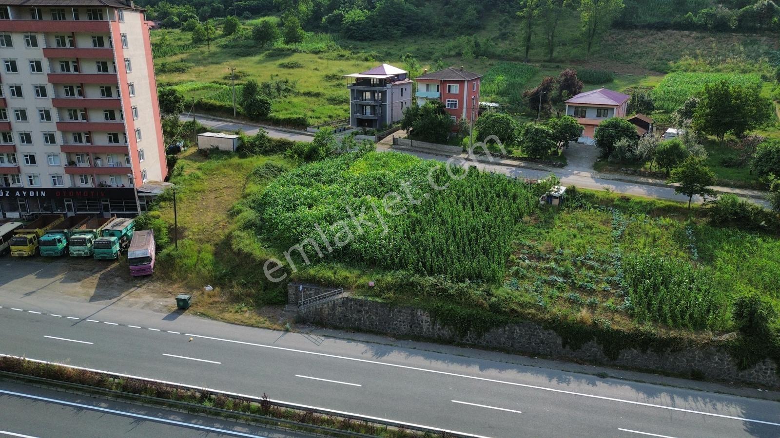 Trabzon Maçka Öğütlü'de Gümüşhane Yolu Üzerinde Satılık Arsa - Görsel 6