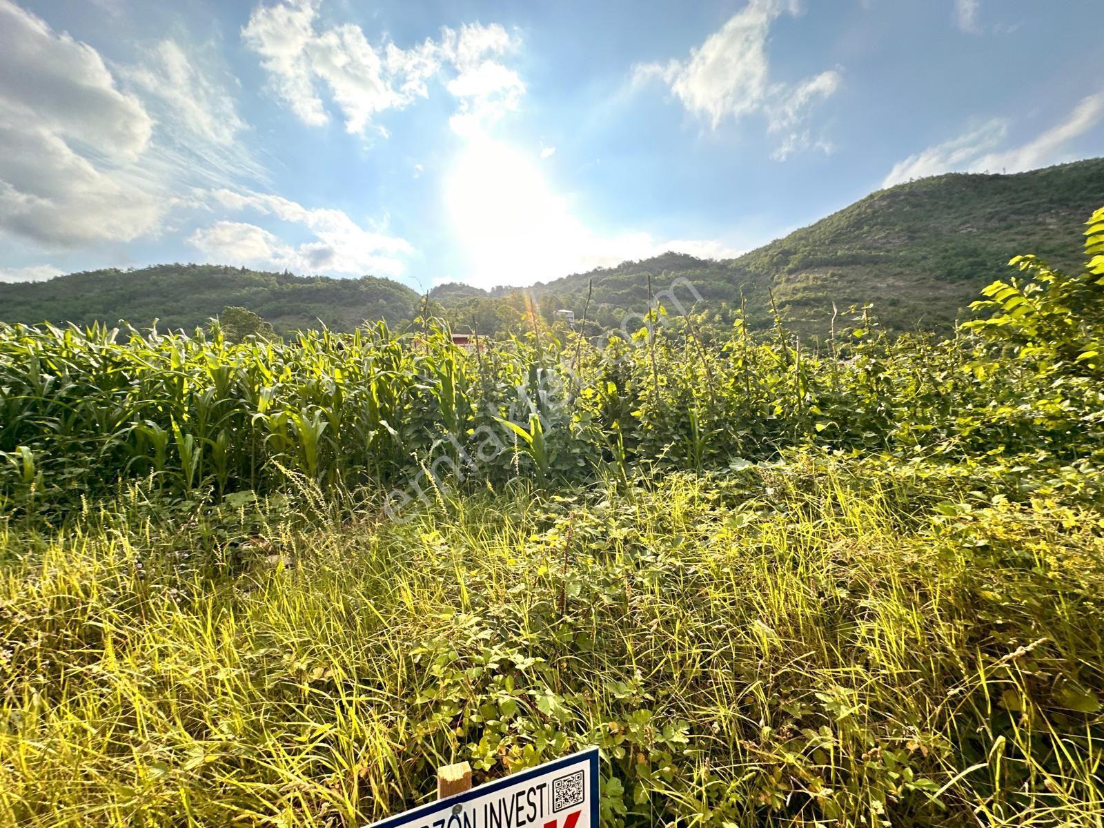 Trabzon Maçka Öğütlü'de Gümüşhane Yolu Üzerinde Satılık Arsa - Görsel 11