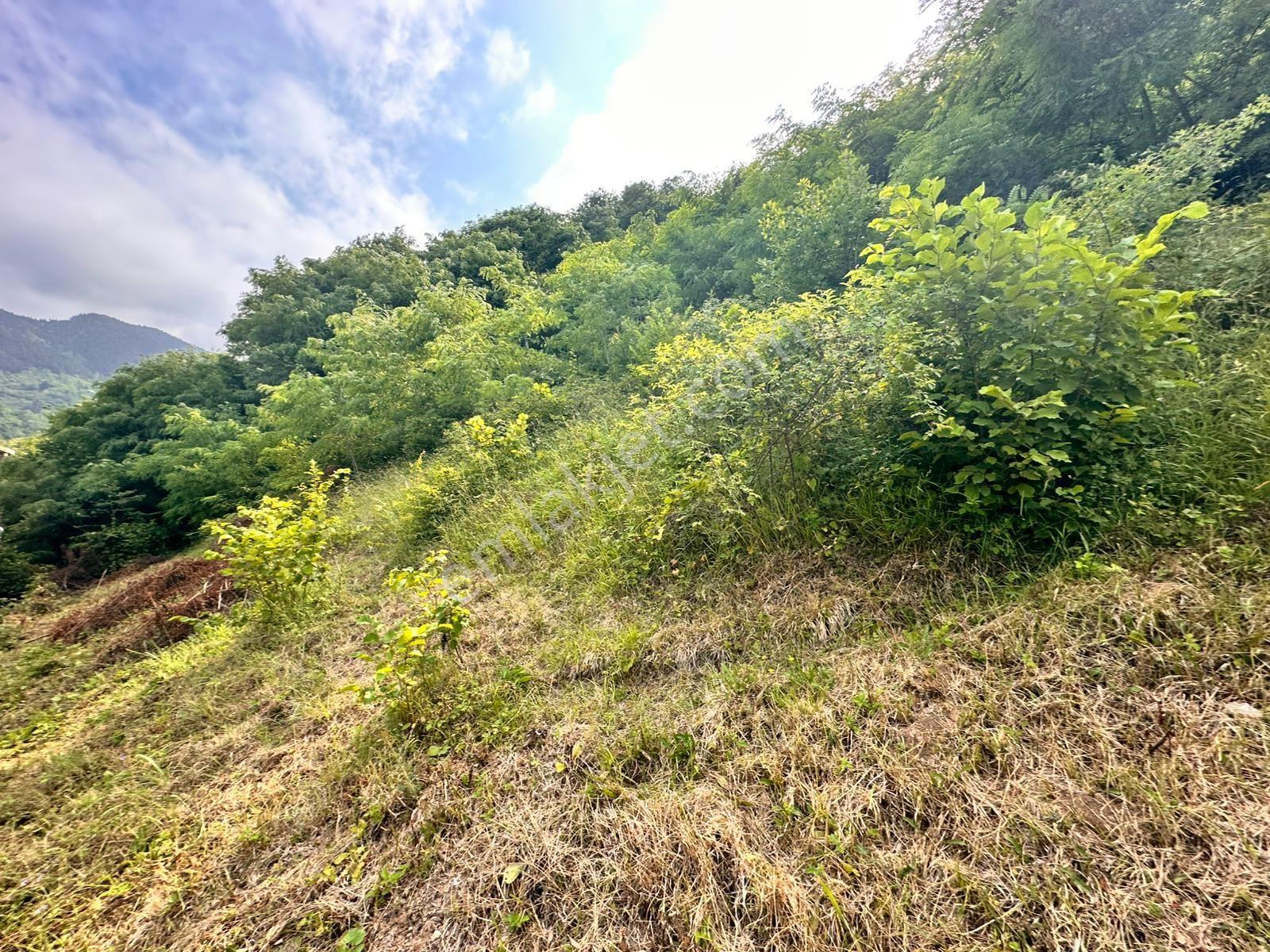 Trabzon Maçka Öğütlü'de Satılık Arsa - Görsel 20