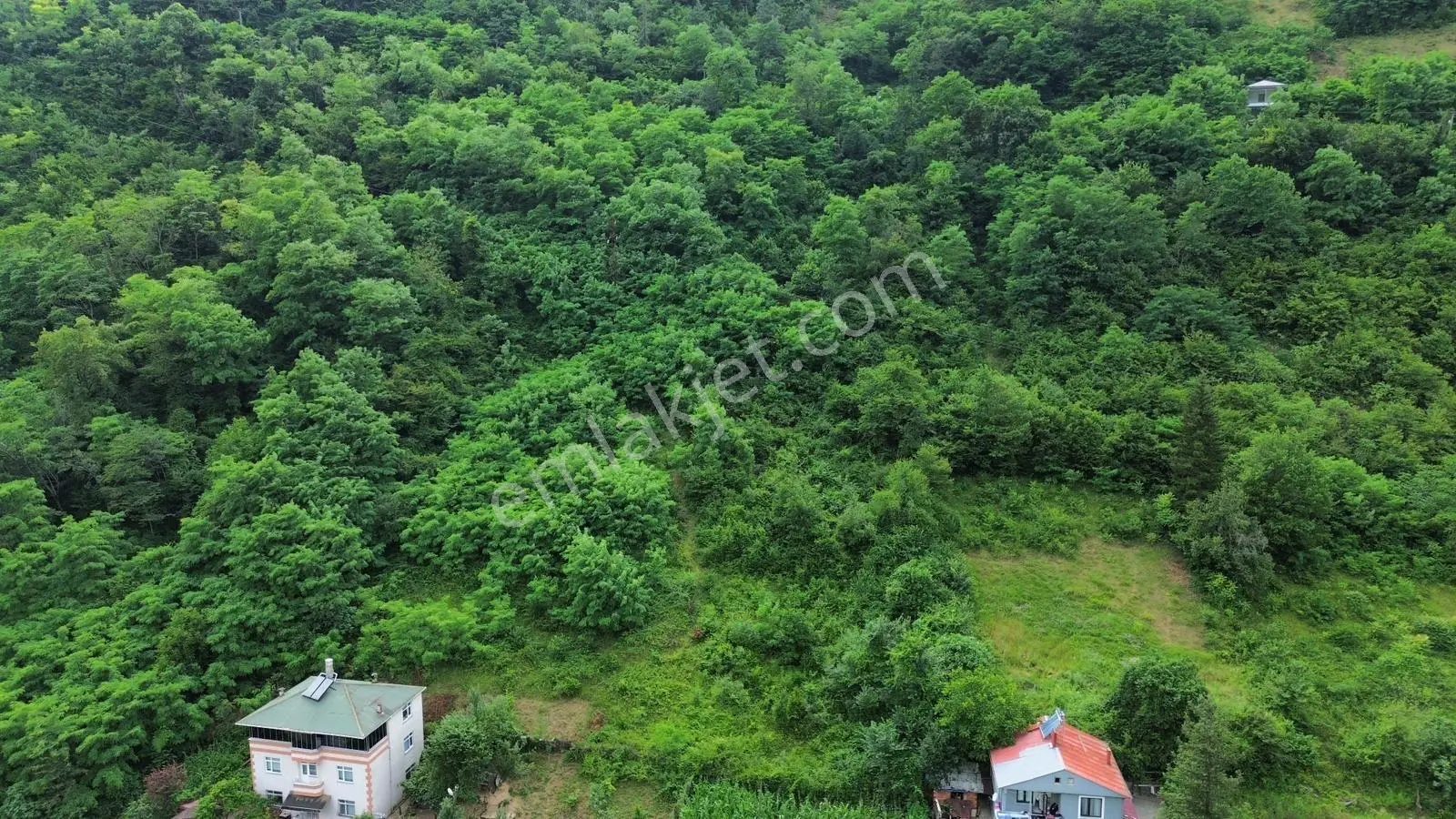 Trabzon Maçka Öğütlü'de Satılık Arsa