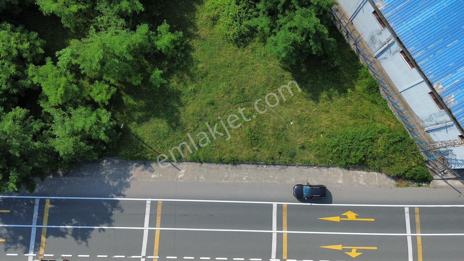 Trabzon Maçka Öğütlü'de Gümüşhane Yolu Üzerinde Satılık Arsa - Görsel 15