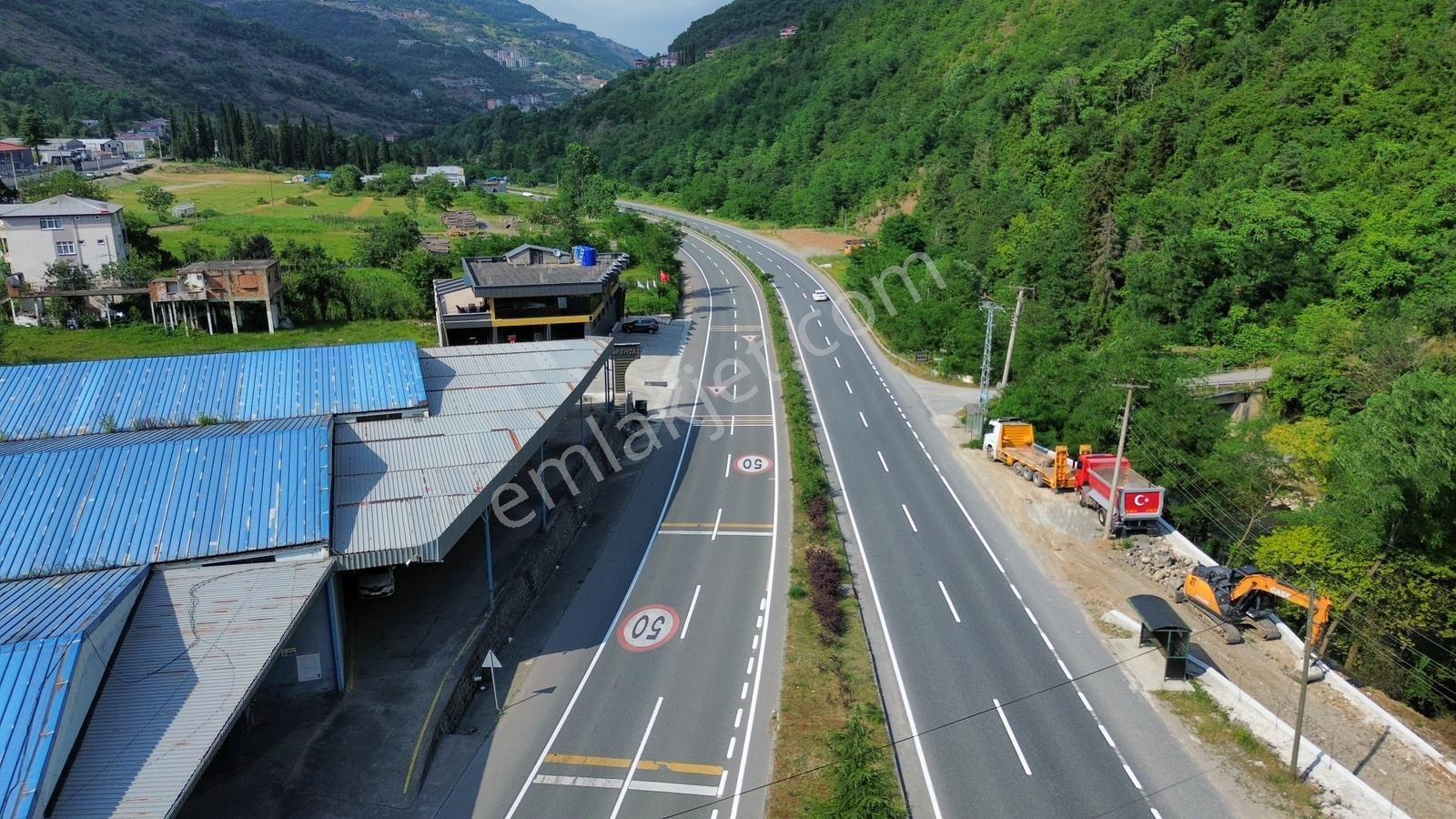 Trabzon Maçka Öğütlü'de Gümüşhane Yolu Üzerinde Satılık Arsa - Görsel 2