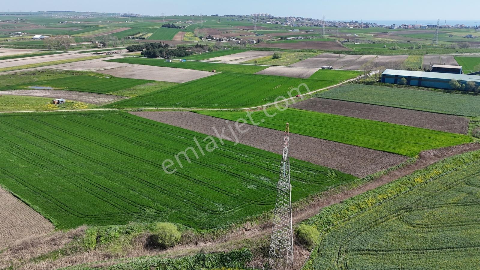 Sultanköy'de Botaş Yakını Satılık Enerji Depolama Arsa Tek Tapu - Görsel 5