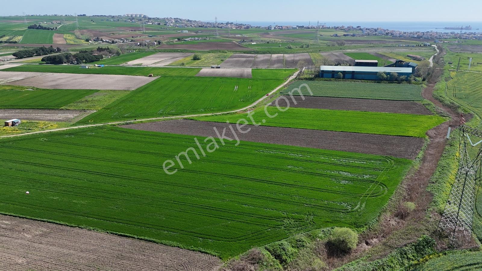 Sultanköy'de Botaş Yakını Satılık Enerji Depolama Arsa Tek Tapu - Görsel 23